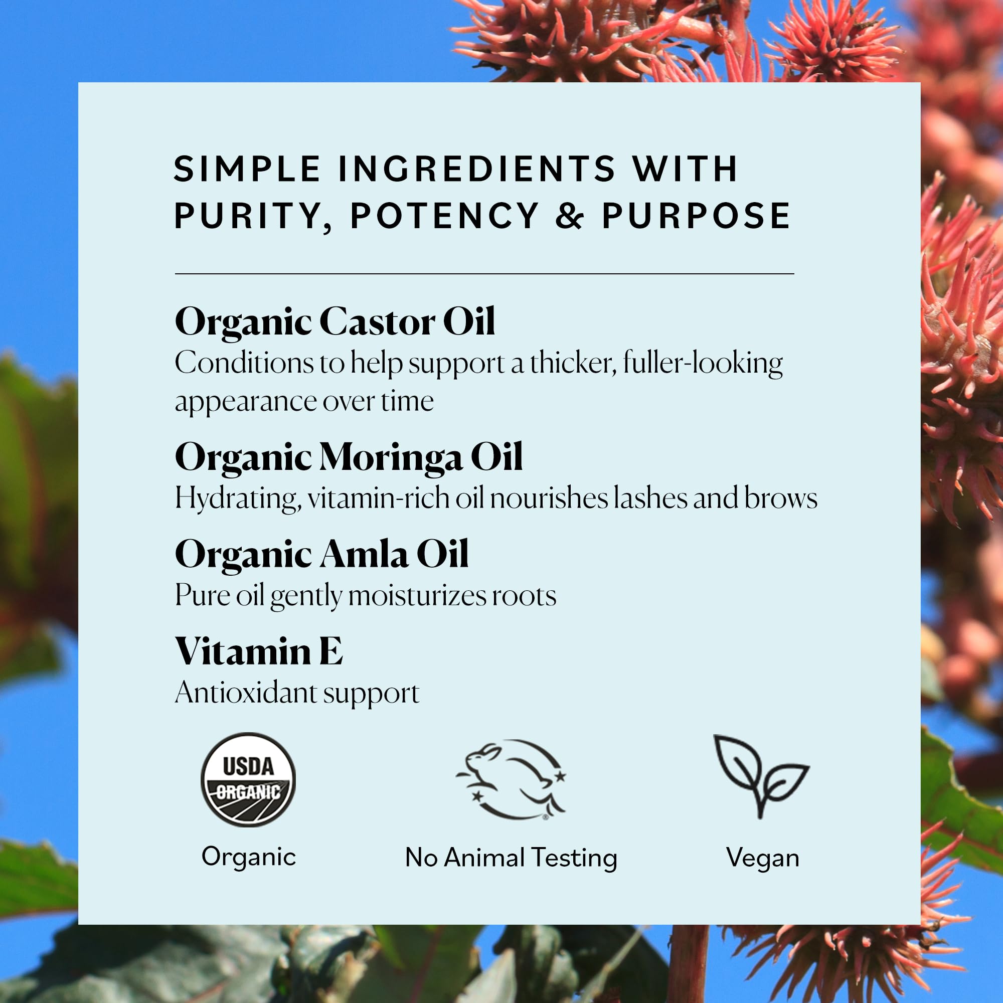 Sky Organics Castor Oil - USDA Certified Organic Hair Oil for Hair Growth, Skin, Face, Eyelashes - Cold Pressed & Hexane Free - Pure Organic Castor Oil Pack Wrap - Carrier & Hair Treatment Oil -16oz