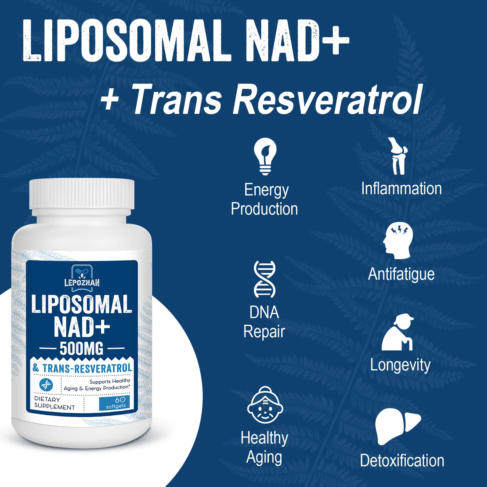 Liposomal NAD+ 500 mg + Trans-Resveratrol 300 mg, Superior Absorption True NAD Supplement Efficient for Cellular Energy Metabolism & DNA Repair, 60 Softgels