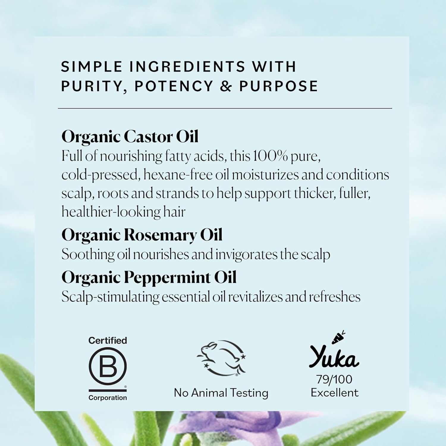 Sky Organics Castor Oil - USDA Certified Organic Hair Oil for Hair Growth, Skin, Face, Eyelashes - Cold Pressed & Hexane Free - Pure Organic Castor Oil Pack Wrap - Carrier & Hair Treatment Oil -16oz