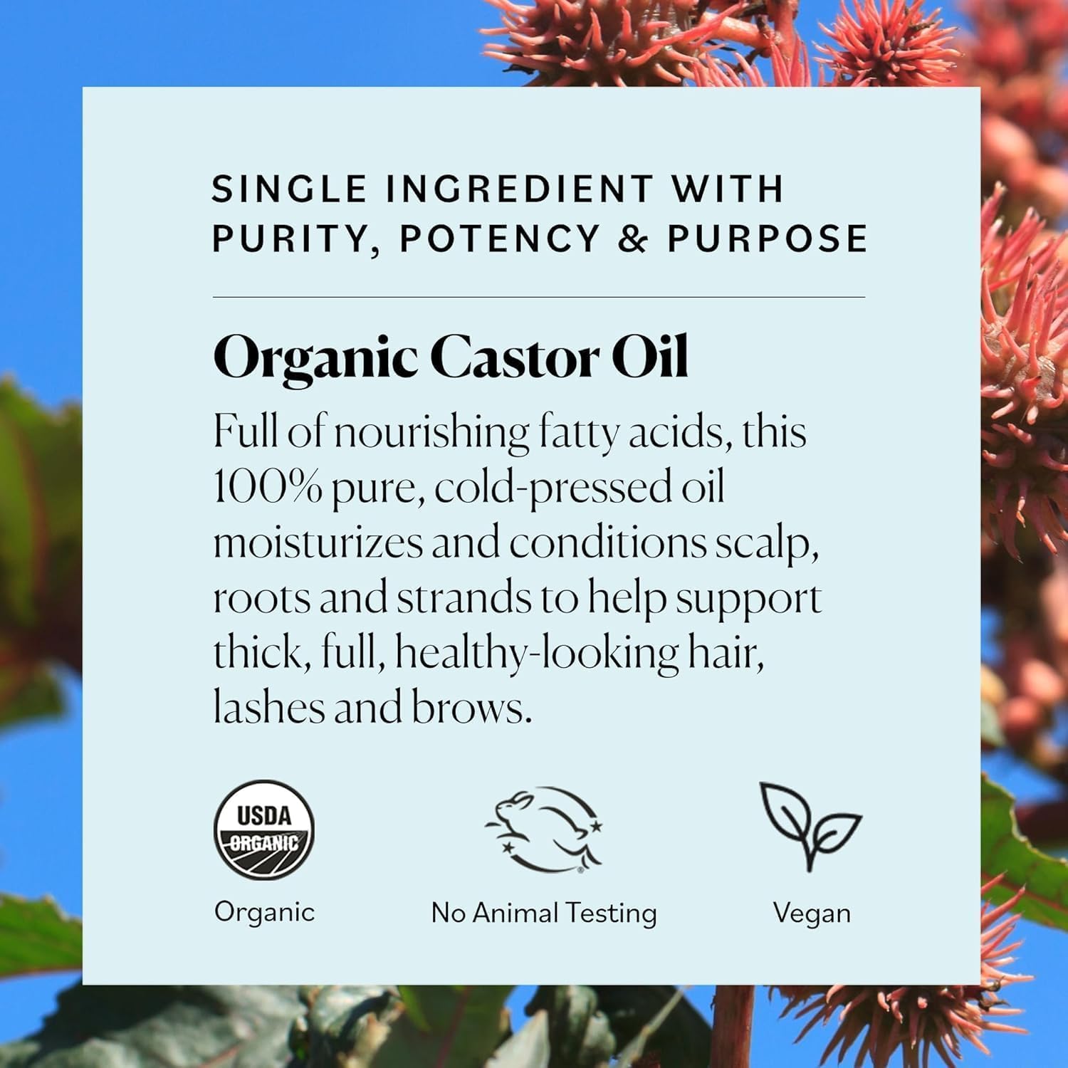 Sky Organics Castor Oil - USDA Certified Organic Hair Oil for Hair Growth, Skin, Face, Eyelashes - Cold Pressed & Hexane Free - Pure Organic Castor Oil Pack Wrap - Carrier & Hair Treatment Oil -16oz
