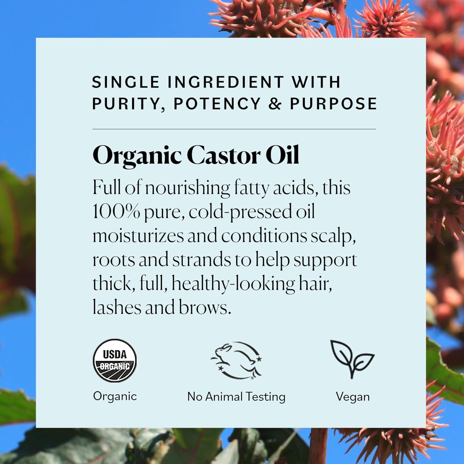 Sky Organics Castor Oil - USDA Certified Organic Hair Oil for Hair Growth, Skin, Face, Eyelashes - Cold Pressed & Hexane Free - Pure Organic Castor Oil Pack Wrap - Carrier & Hair Treatment Oil -16oz