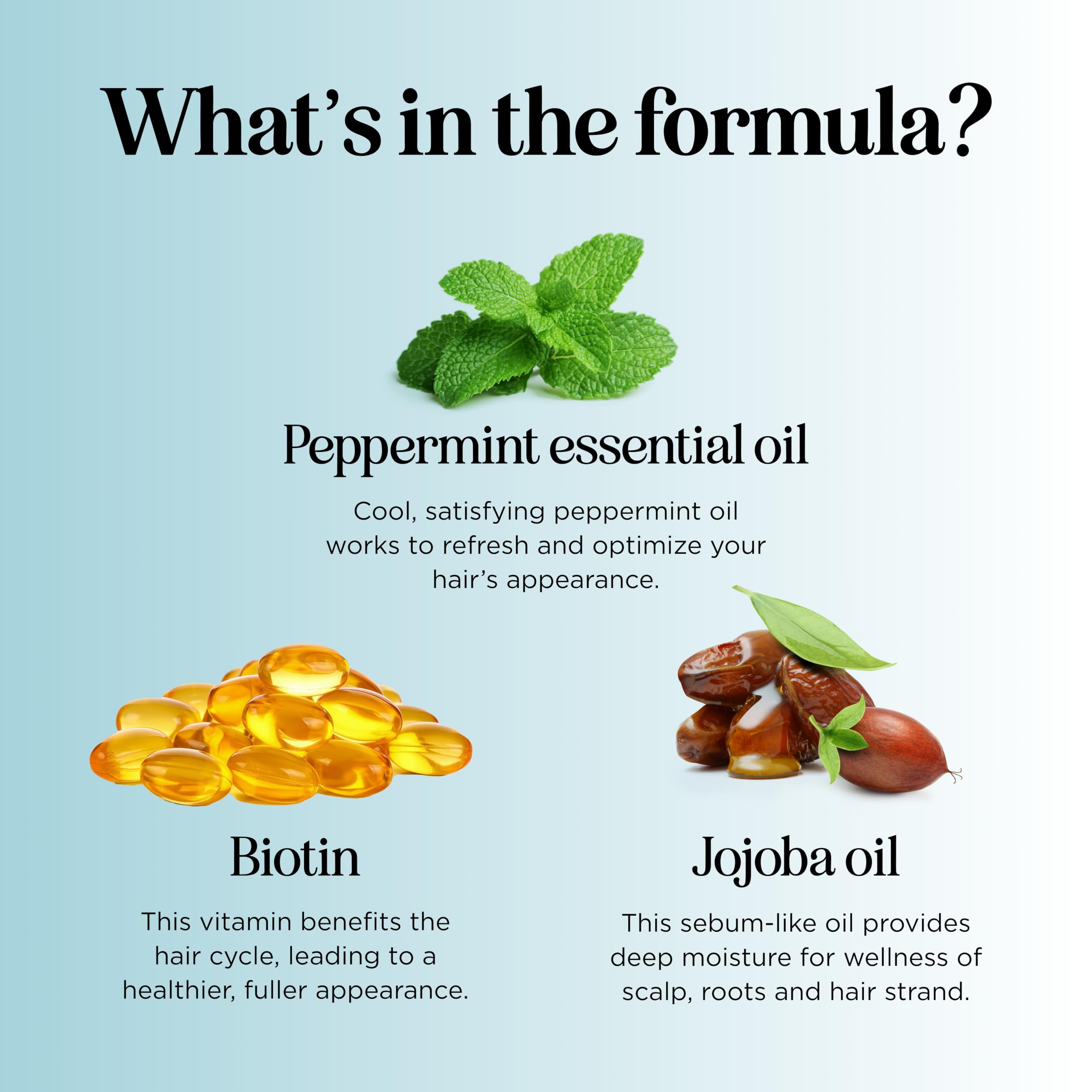 Rosemary and Biotin Shampoo for Thinning Hair - Vegan Volumizing Shampoo for Fine Hair with B Vitamins Argan Oil & Tea Tree Essential Oil - Paraben Silicone and Sulfate Free Vegan Formula (8 Fl Oz)