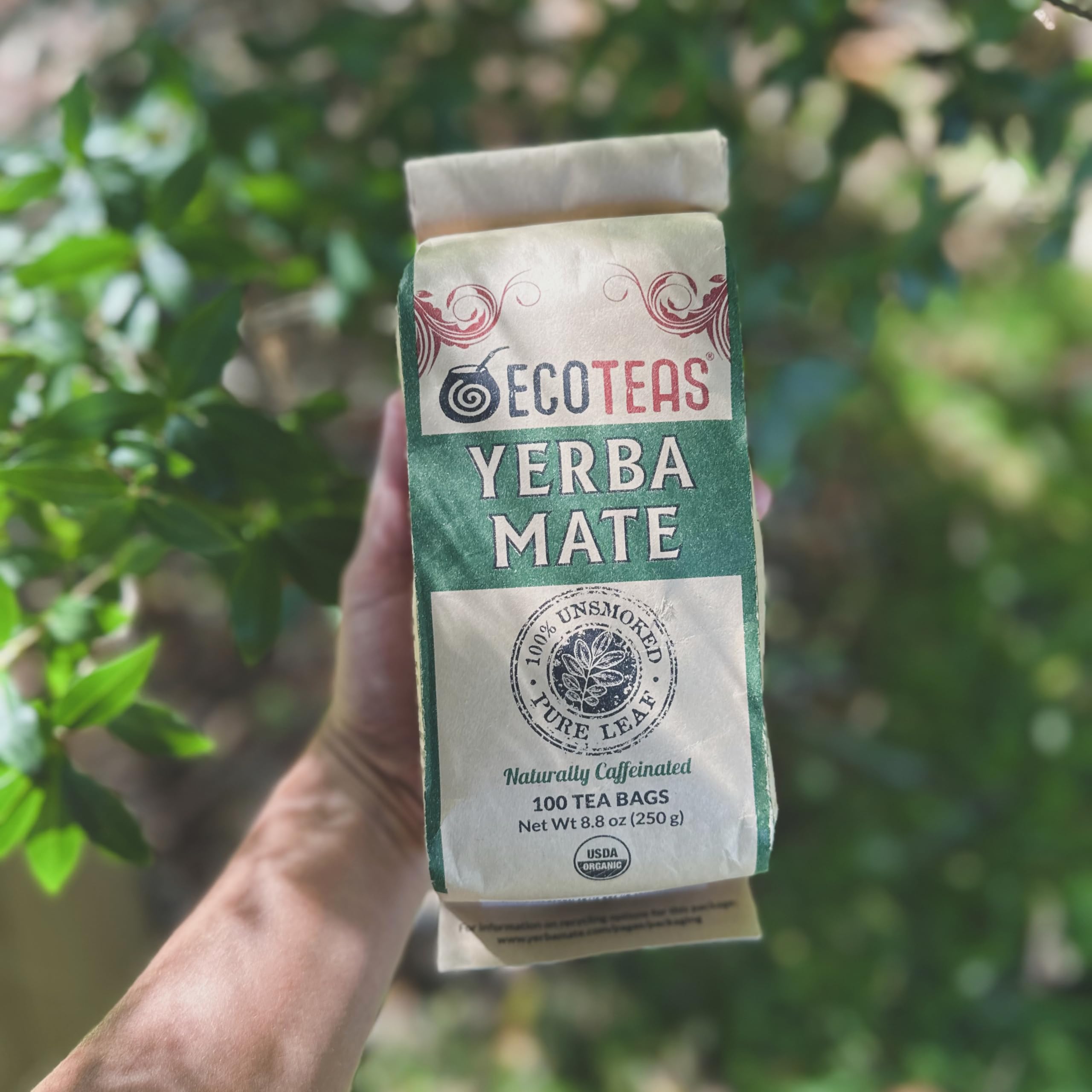 ECOTEAS Premium Organic Yerba Mate Tea Bags – Natural Energy & Detox Herbal Tea – Coffee Alternative - Kosher, Non-GMO, Gluten-Free - 100 Unsmoked Bulk Bags, 8.8 oz (Pack of 1)