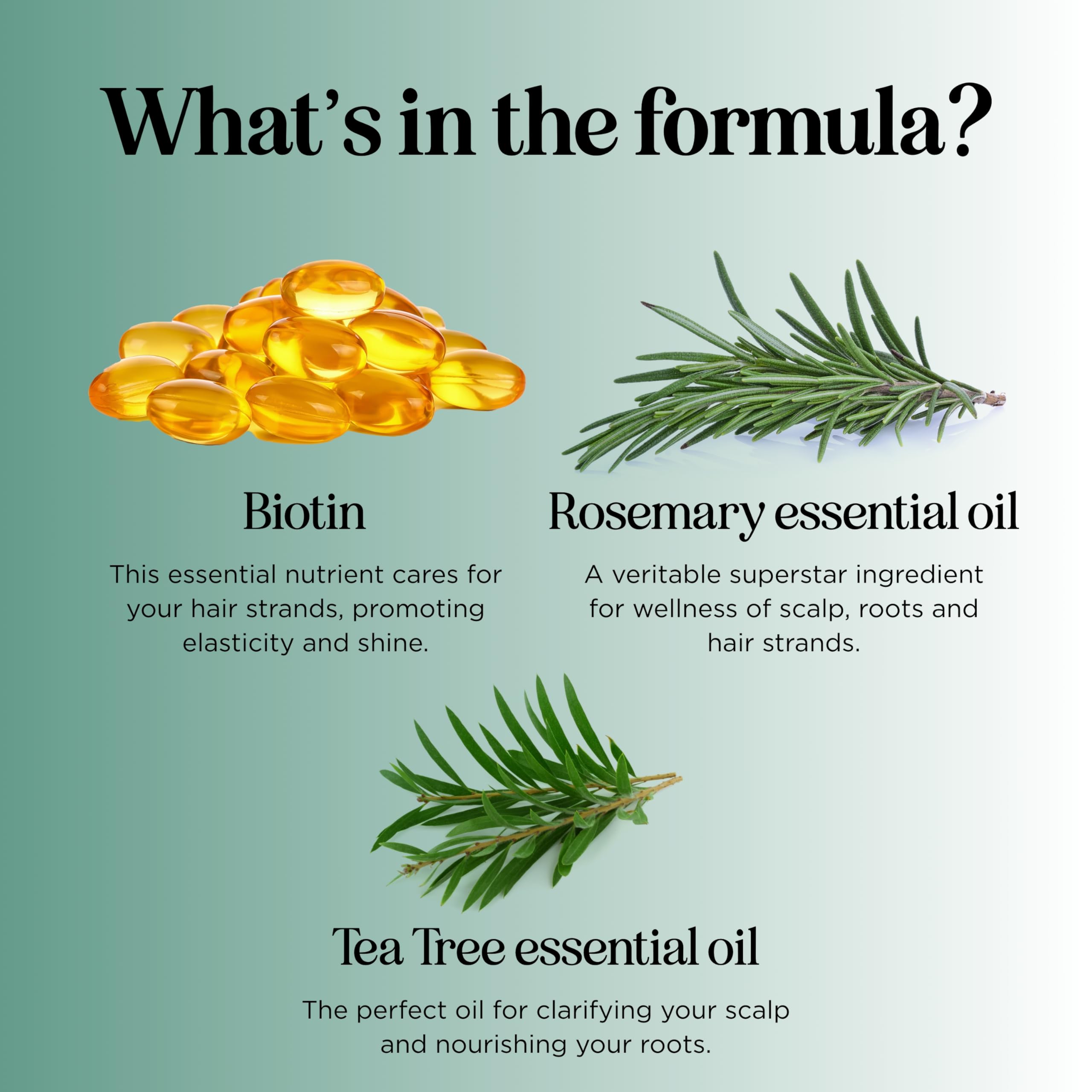 Rosemary and Biotin Shampoo for Thinning Hair - Vegan Volumizing Shampoo for Fine Hair with B Vitamins Argan Oil & Tea Tree Essential Oil - Paraben Silicone and Sulfate Free Vegan Formula (8 Fl Oz)