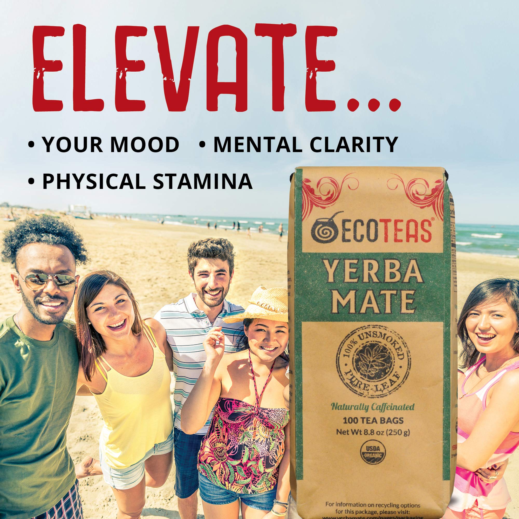 ECOTEAS Premium Organic Yerba Mate Tea Bags – Natural Energy & Detox Herbal Tea – Coffee Alternative - Kosher, Non-GMO, Gluten-Free - 100 Unsmoked Bulk Bags, 8.8 oz (Pack of 1)